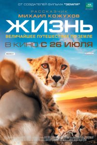 Жизнь 2011