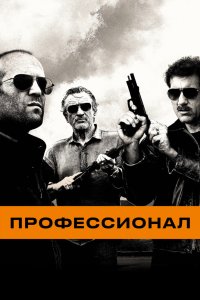 Профессионал 2011