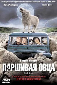 Паршивая овца 2006