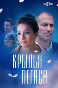 Крылья Пегаса 2017