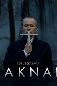 Пропавшая 2017