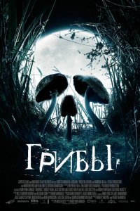 Грибы 2007