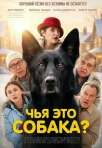 Чья это собака? 2025
