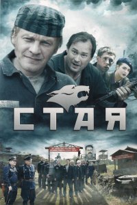 Стая 2009