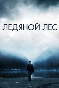 Ледяной лес 2014