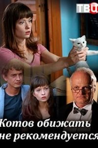 Котов обижать не рекомендуется 2018