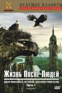 Жизнь после людей 2009