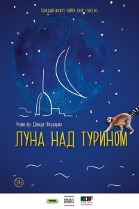 Луна над Турином 2013