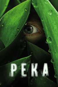 Река 2012