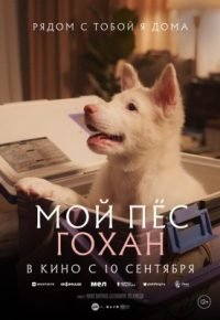 Мой пёс Гохан 2026