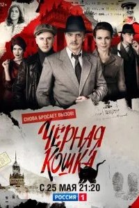 Черная кошка 2016