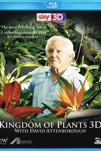 В королевстве растений 2012