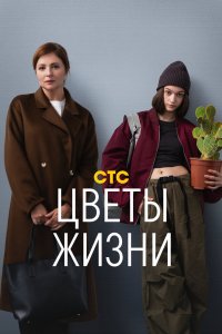Цветы жизни 2024