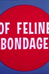 Мышь-невидимка 1965