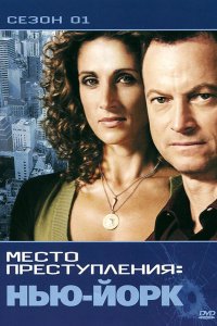 CSI: Место преступления Нью-Йорк 2004