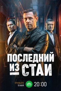 Последний из стаи 2023