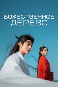 В Сендае растут деревья 2025 смотреть онлайн бесплатно