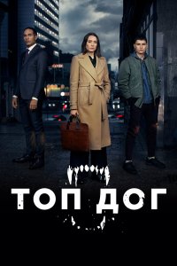 Топ дог 2020 смотреть онлайн бесплатно