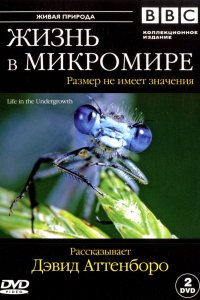 BBC: Жизнь в микромире 2005