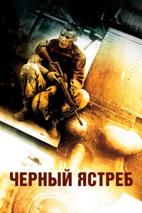 Чёрный ястреб 2001