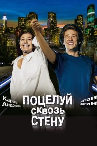 Поцелуй сквозь стену 2010