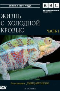 BBC: Жизнь с холодной кровью 2008