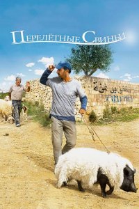 Перелетные свиньи 2011