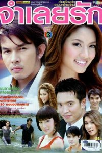 В плену любви 2008