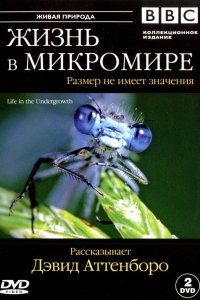 BBC: Жизнь в микромире 2005