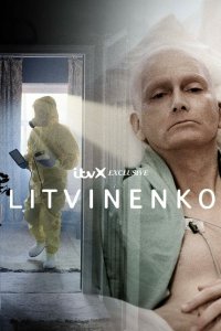 Литвиненко 2022