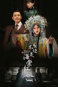 Зимняя бегония 2020 смотреть онлайн бесплатно