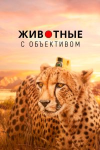 Животные с объективом 2018 смотреть онлайн бесплатно