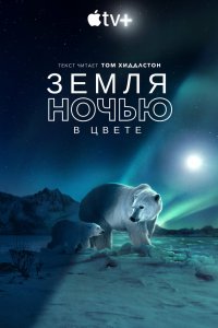 Земля ночью в цвете 2020