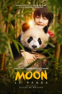 Моя панда 2025