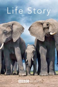 История жизни 2014