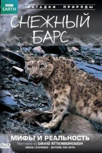 BBC: Снежный барс: Мифы и реальности 2007