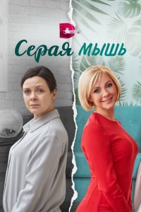 Серая мышь 2023