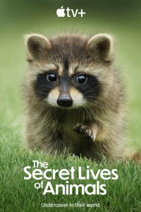 Тайная жизнь животных