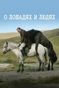 О лошадях и людях 2013 смотреть онлайн бесплатно