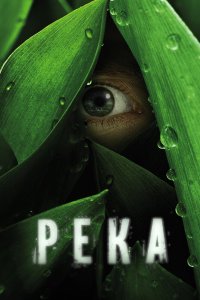 Река 2012