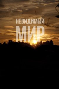 Невидимый мир 2012