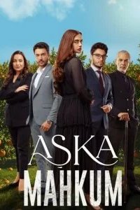 Заключенный любви 2025