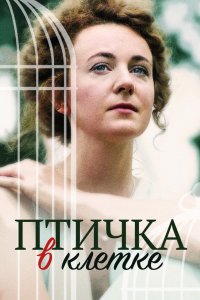 Птичка в клетке 2020