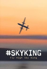 Скай Кинг 2026 смотреть онлайн бесплатно