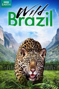 Дикая Бразилия 2014 смотреть онлайн бесплатно