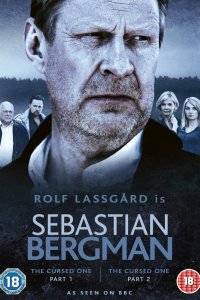 Себастьян Бергман 2010