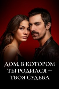 Дом, в котором ты родился – твоя судьба 2019