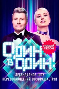 Один в один 2013