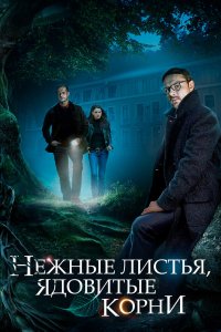 Нежные листья, ядовитые корни 2019