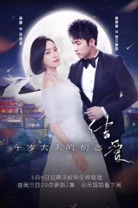 Узелок любви: Первая любовь Его Превосходительства 2018